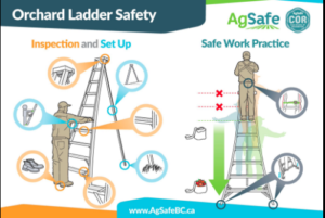 Poster from AgSafeBC